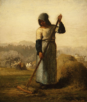 rake