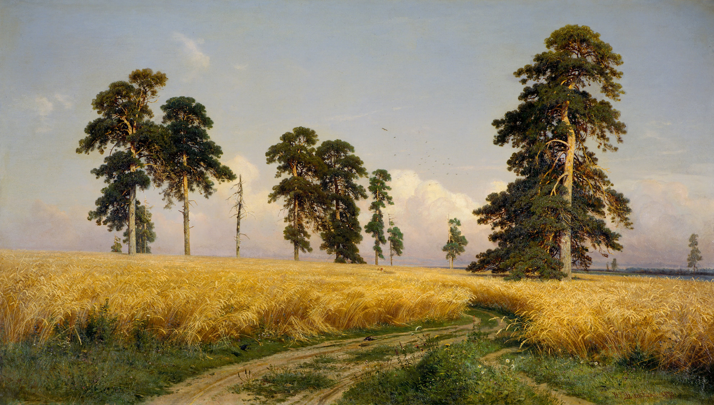 wheat field